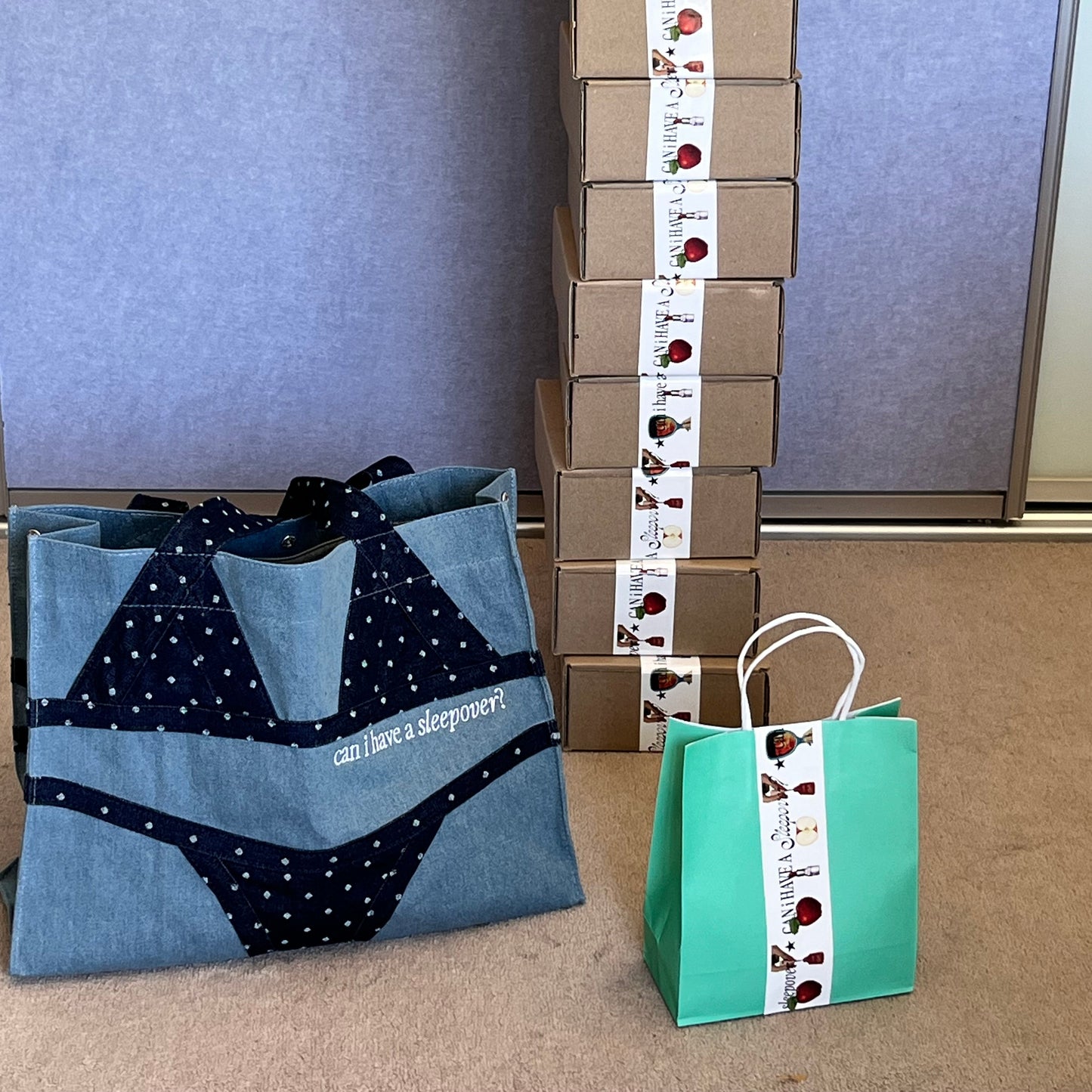 THE BIKINI BAG