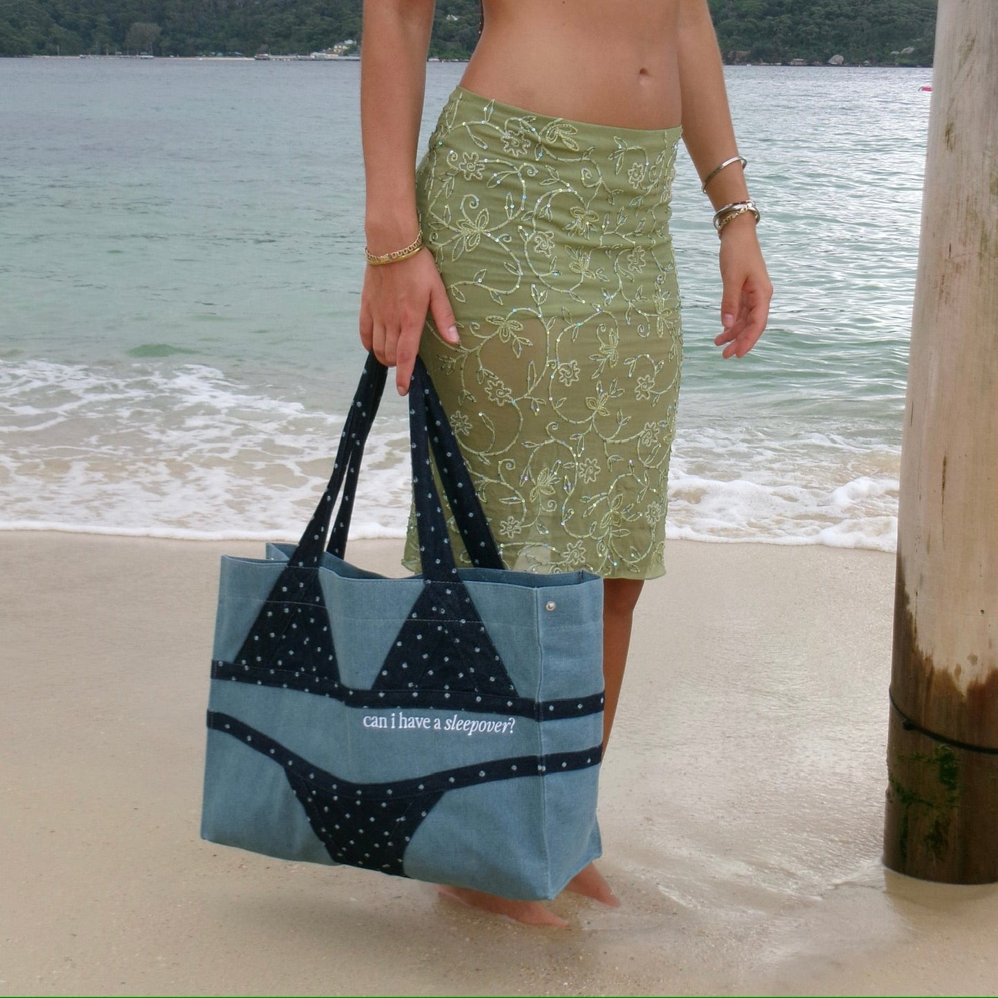 THE BIKINI BAG