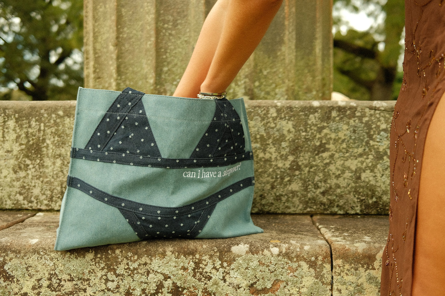 THE BIKINI BAG