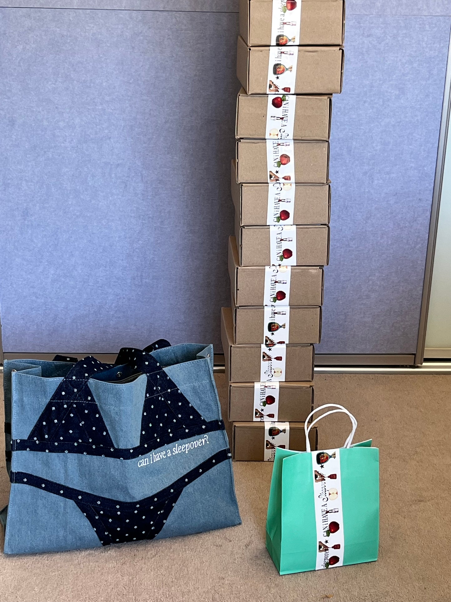 PREORDER: THE BIKINI BAG